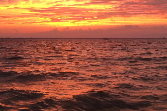 Sunset Dolphin Watching Cruise in Destin Harbor - What to Bring on Board