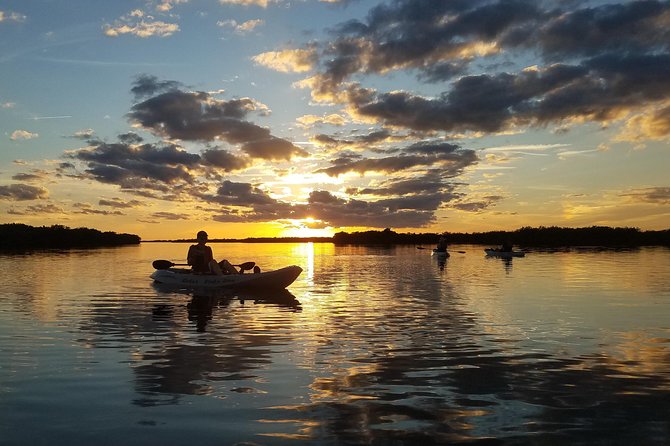 Sunset Tour Mangrove, Dolphins, Manatee #1 Rated in Cocoa Beach - Customer Reviews