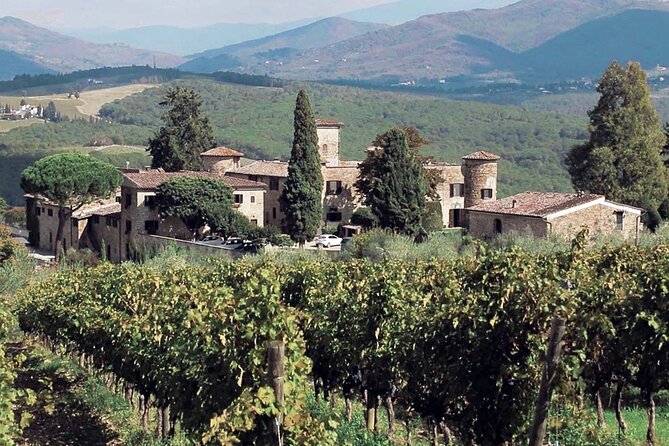 Supertuscan Wine Tour - Masterclass by a Wine Expert - Meeting Location and Logistics