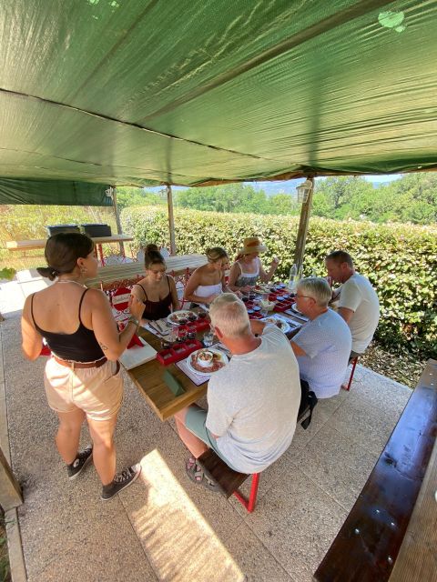 Tasting in a Vineyard With Transfer From Lucca - Included Features of the Tour