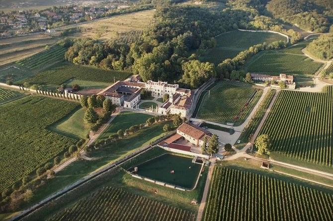 The Amarone Chateau Guided Tour and Tasting in Valpolicella - The Appassimento Technique