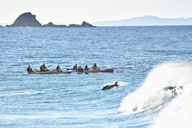 The Byron Bay Sea Kayak Tour - Customer Experiences