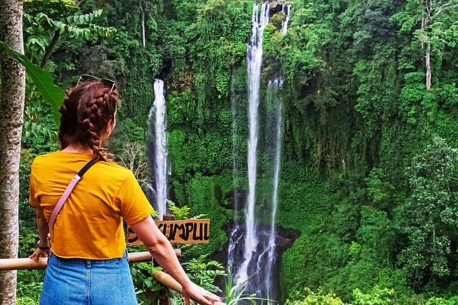 The Sekumpul Waterfall and Temple Small Group Tour - Customer Reviews