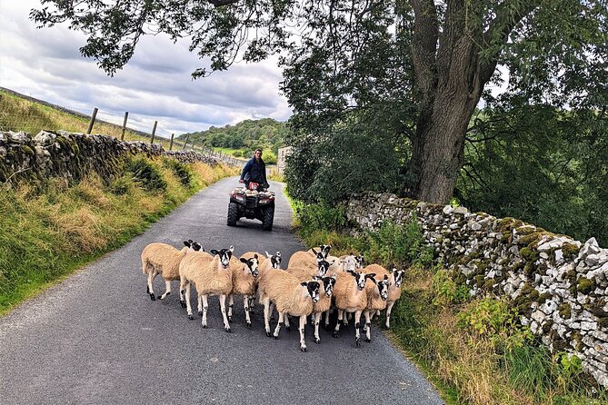 The Yorkshire Dales of All Creatures Great & Small - Pricing and Booking Details