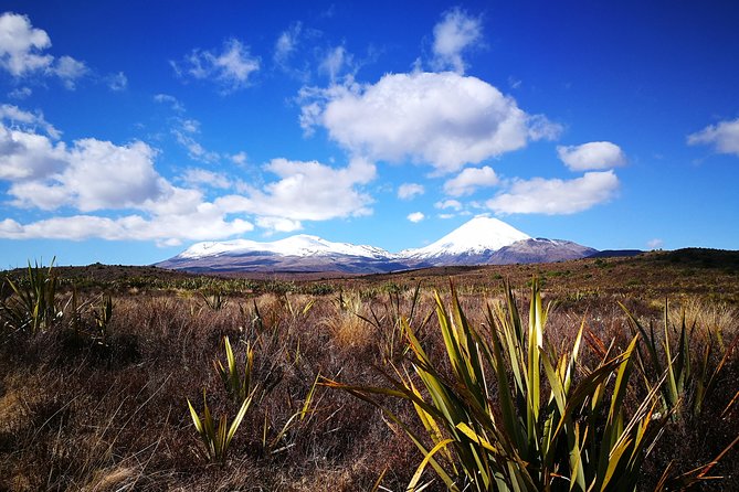 Tongariro Discovery Walk - Participant Reviews and Ratings