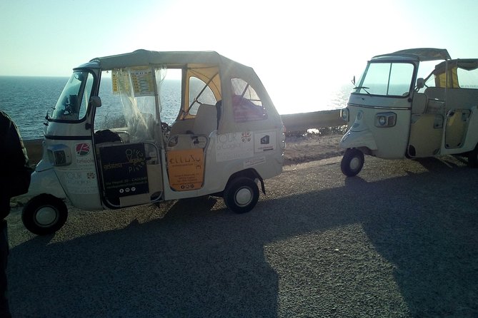 Tour in Ape Calessino (Tuk Tuk) 4 Districts + Poetto Beach + Pink Flamingos - Customer Reviews and Feedback