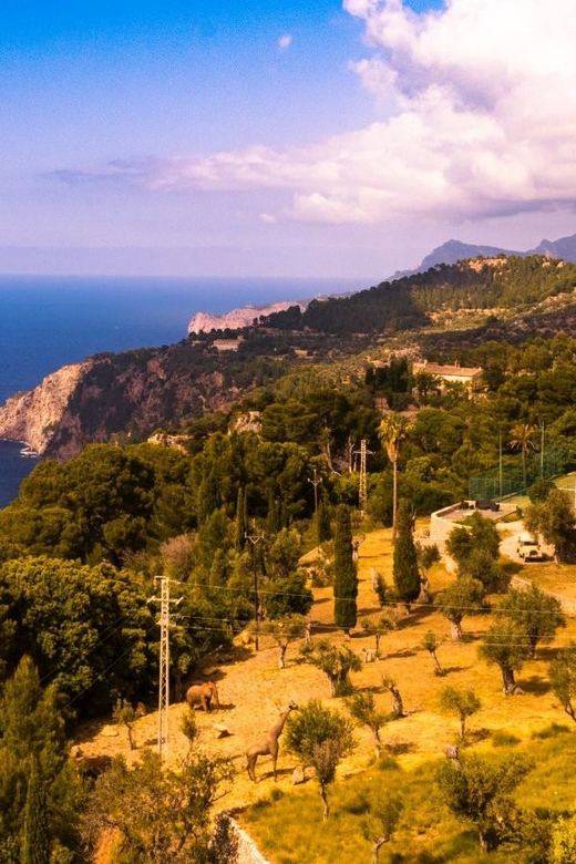 Trike Tour Mallorca for Passenger & Self Drive - Safety Precautions