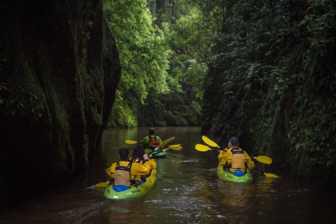 Twilight Kayak Glow Worm Tour - Safety Considerations