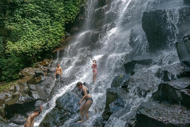 Ubud Customized Private Tour - Customer Reviews