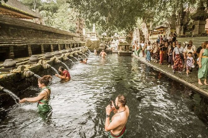 UBUD: Half Day Ubud Tour With Holy Water Body Cleansing - Tour Highlights