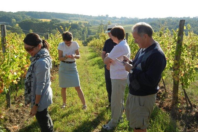 Ultimate Yarra Valley Chandon, Soumah & De Bortoli Cheese & Wine - Participant Feedback and Reviews