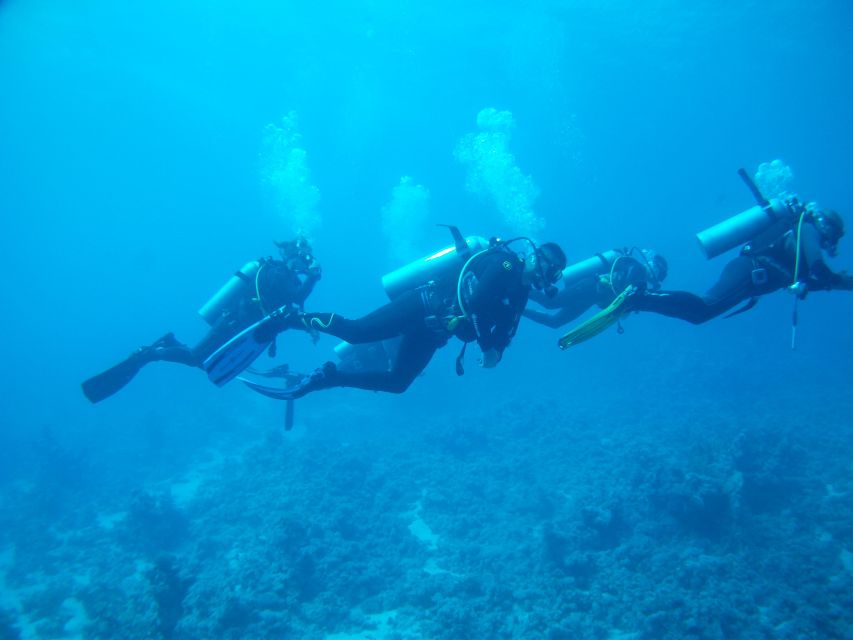 Vieste: Scuba Experience and Diving Courses - Contact and Location Information