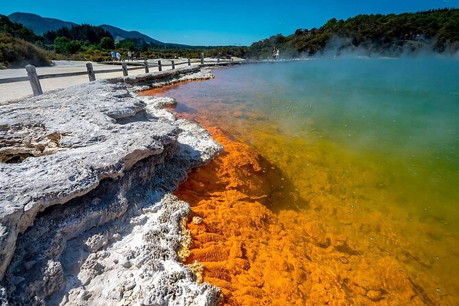 Wai-O-Tapu to Redwoods and Secret Spot - Cancellation Policy