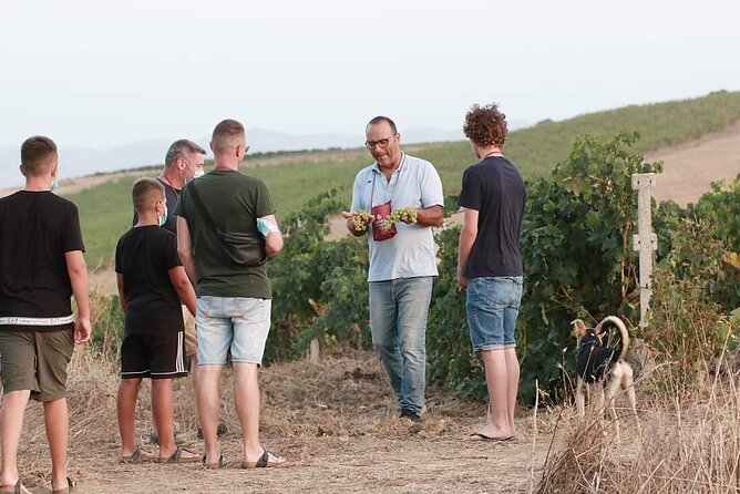 Wine Tour in the Historic Baglio Florio Adamo With Lunch - Guest Experiences and Reviews