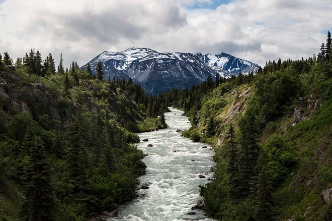 Yukon Suspension Bridge and Summit Tour - Pricing Details