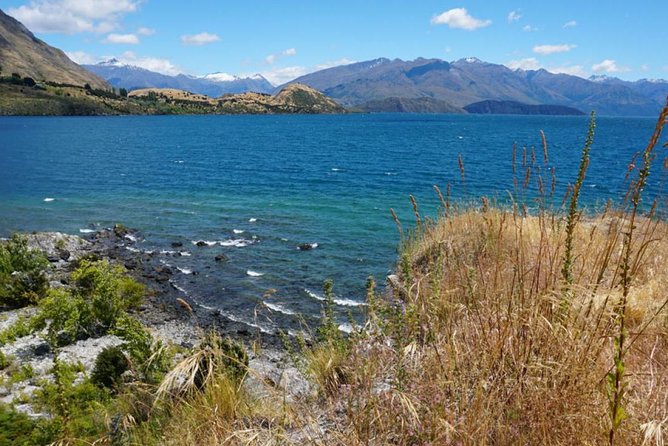 1-Hour Ruby Island Cruise and Walk From Wanaka - Tips for a Great Experience