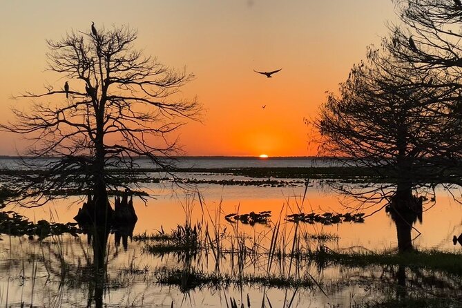 1-Hour Sunset Airboat Ride Near Orlando - Tips for a Great Adventure