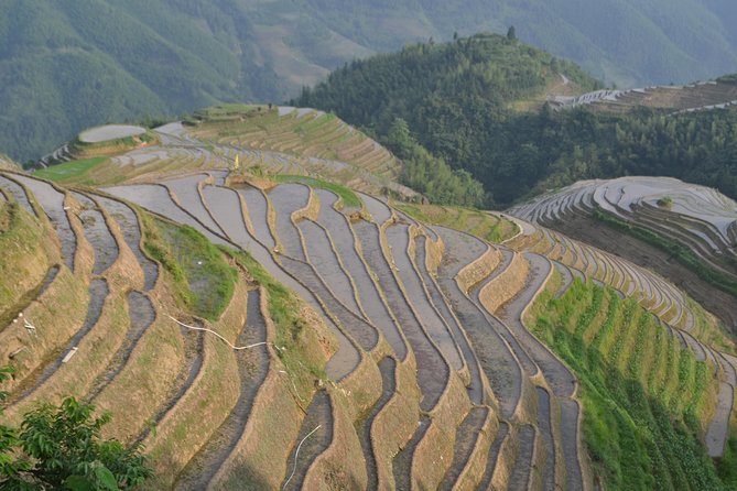 2 Days Classic Guilin Li River and Longji Rice Terraces Tour - Pricing Options