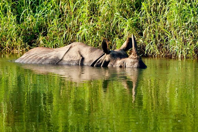 2 Nights Chitwan Jungle Safari Tour From Kathmandu or Pokhara - Additional Expenses