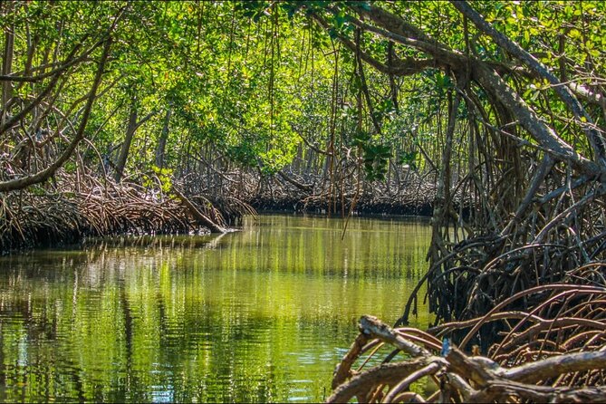 3in1: Los Haitises National Park + Yanigua Waterfall + Round Mountain - Recommended Preparations