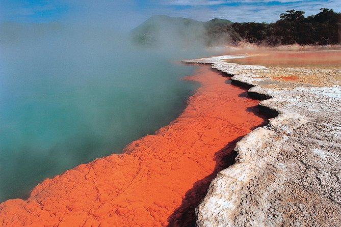 4-Day Auckland to Wellington via Rotorua Tour - Tips for Travelers