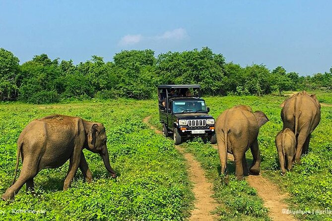 8 Days Sri Lanka Round Tours With Privet Vehicle & Accommodations - Customer Reviews and Ratings