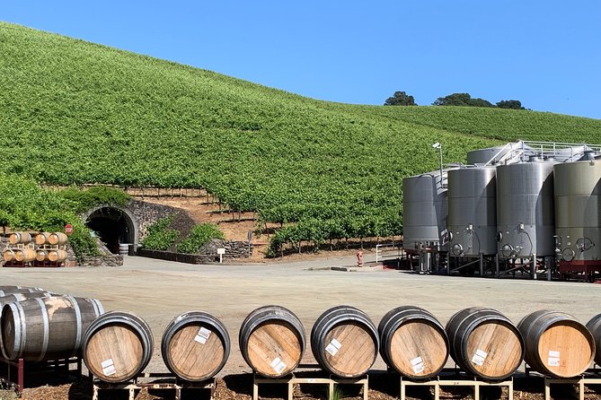 8-Hour Private Sonoma or Napa Wine Tour With Concierge Service - Tips for a Great Experience