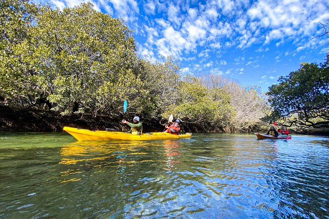 Adelaide Dolphin Sanctuary and Ships Graveyard Kayak Tour - Booking Information