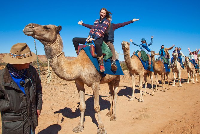 Alice Springs Camel Tour - Best Time to Book Your Tour