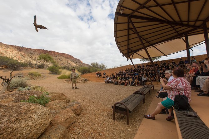 Alice Springs Desert Park General Entry Ticket - Tips for Enjoying the Park