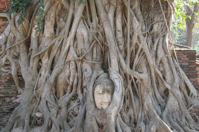 Amazing Ayutthaya Day Trip From Bangkok - Pricing and Booking Information