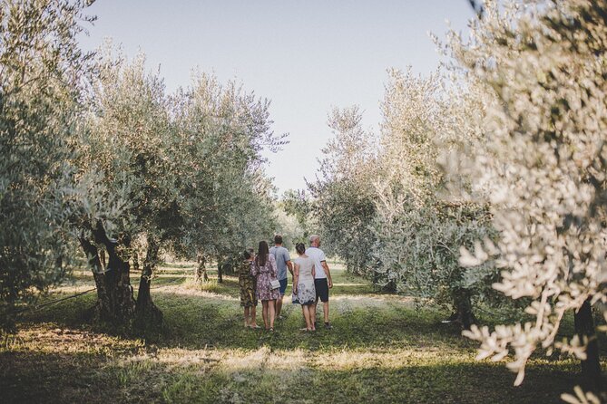 An Authentic Istrian Olive Oil, Wine & Local Food Experience Near Umag - Customer Reviews and Ratings