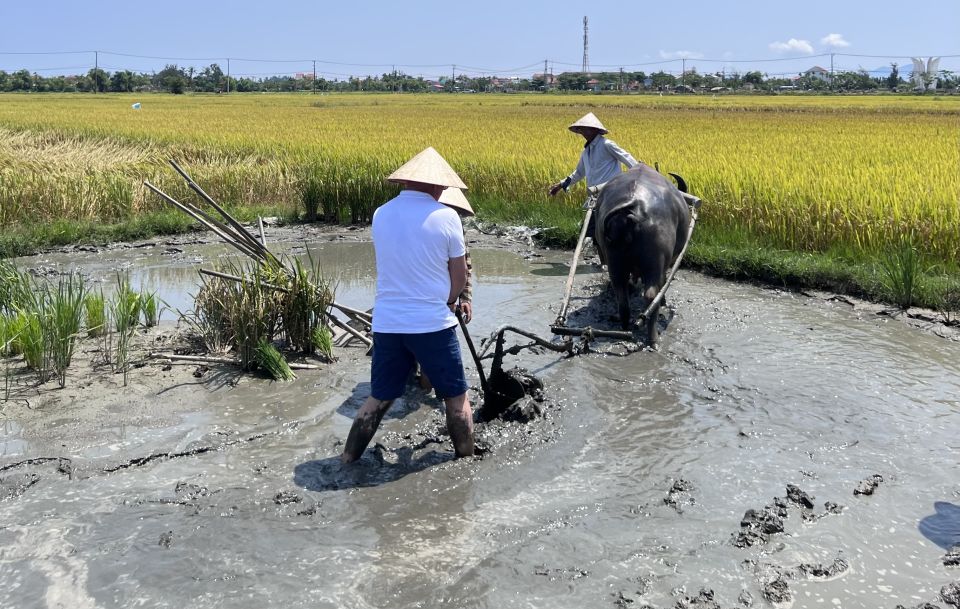 An Incredible Hoi an - Water Buffalo Riding & Cooking Class - Lunch and Cultural Immersion