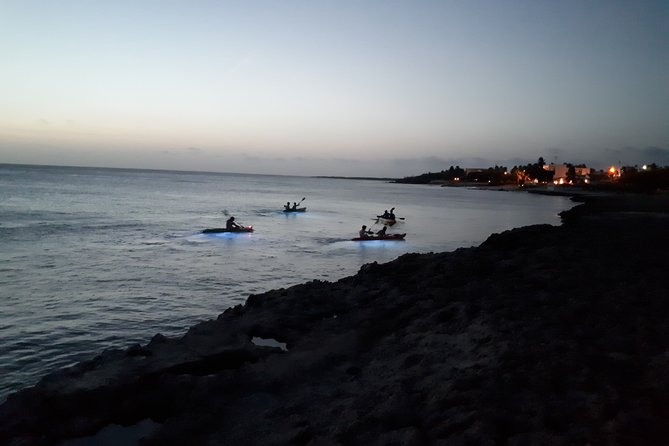 Aruba Night Glass Kayak Tour - Contact Information