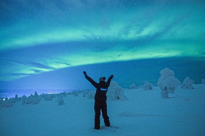 Aurora Hunt for 3 Hours in Saariselkä - Booking Information