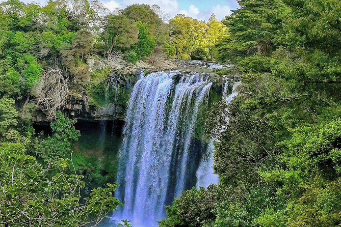 Bay of Islands Half-Day Private Tour - Booking Process