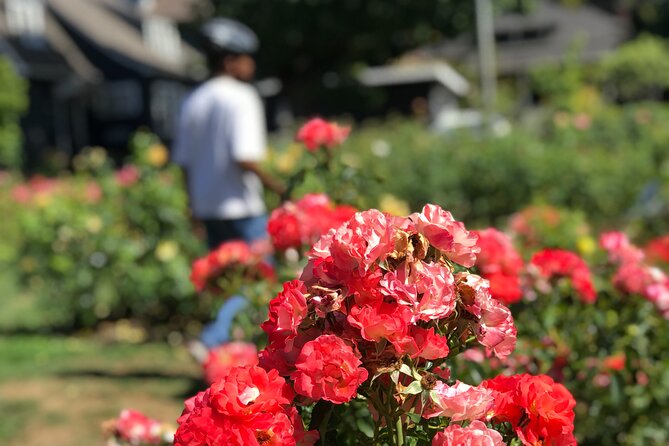 Bike Around Portland Oregon: Bridges, Neighborhoods, Poetry and Roses - Participant Testimonials and Ratings