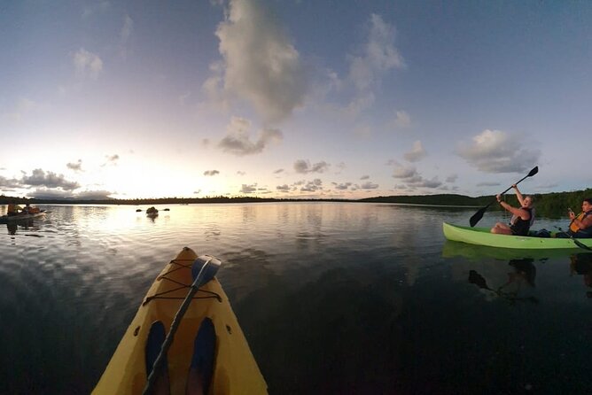 Bioluminescent Night Kayaking With Transport From San Juan - Weather Policy