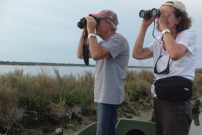 Birdwatching by Boat in a Small Group in the Pialassa Baiona - Tips for a Successful Trip