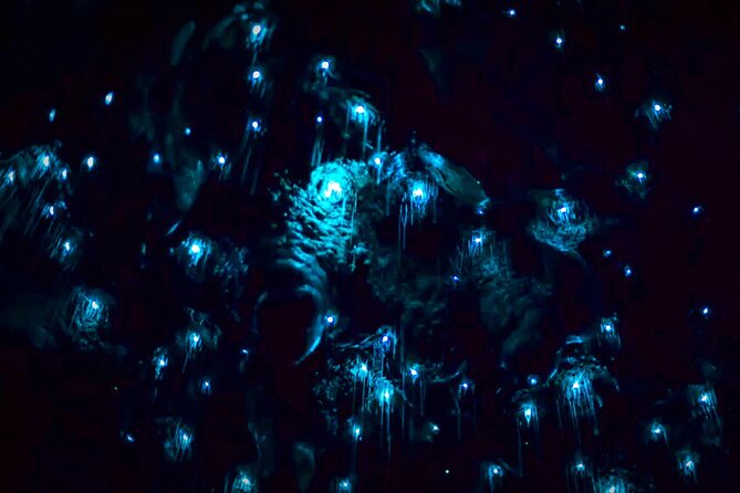 Blue Mountains Hiking Glow Worms Cave Wildlife Spotlighting Night Adventure - What to Bring Along