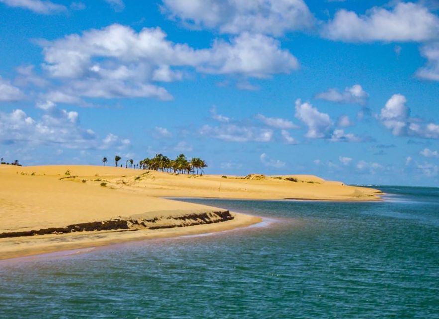 Boat Ride: São Francisco River, the Largest in Brazil - Exploring Local Fishing Villages