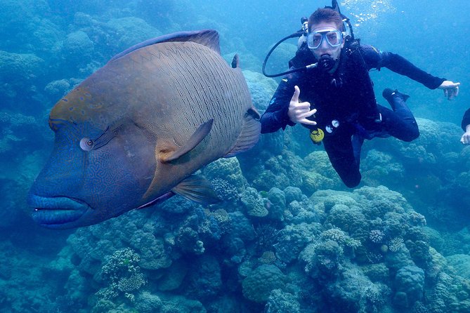 Calypso Outer Great Barrier Reef Cruise From Port Douglas - Booking Information