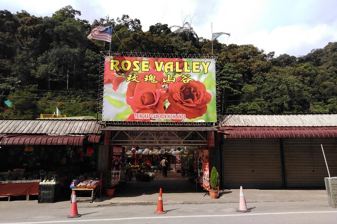 Cameron Highland Private Day Tour - Tips for Travelers