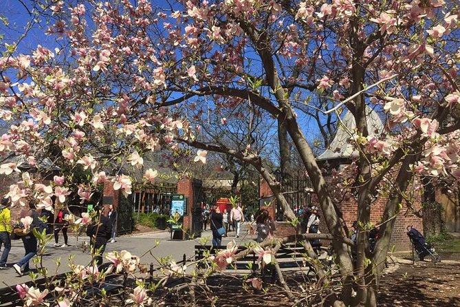 Central Park Walking Tour - Booking Information and Pricing