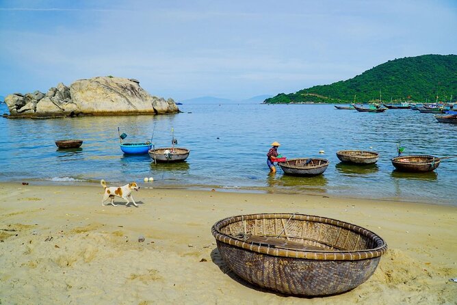 Cham Island Snorkeling - Wonderful Beach - Speedboat Daily Tour - Best Time to Visit Cham Island