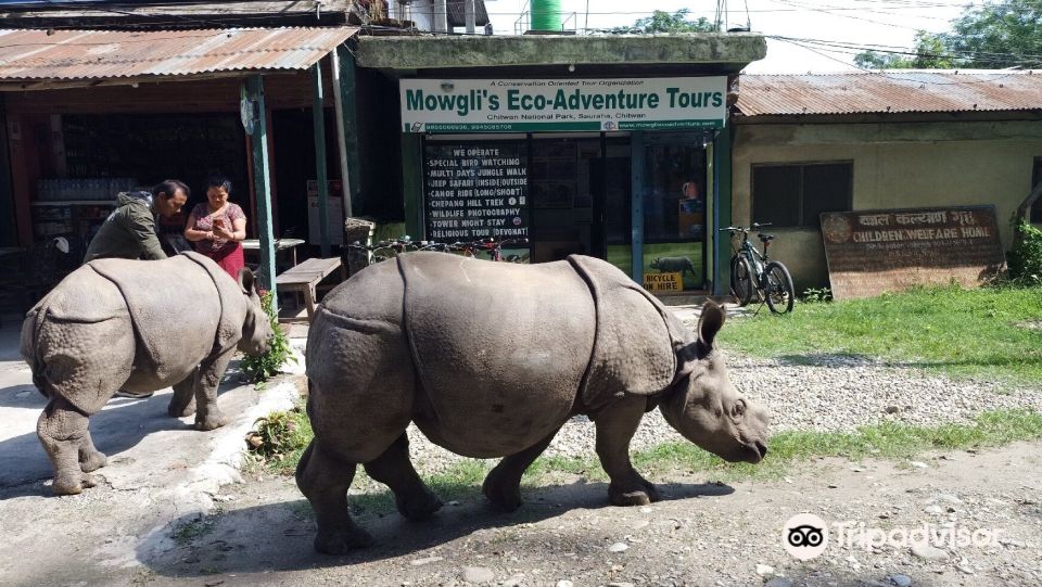 Chitwan Jungle Safari With National Park Tower Night Stay - Recommended Clothing and Gear