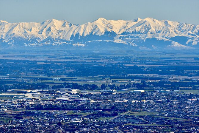 Christchurch Scenic Tour (Half-Day Tour) - What to Expect