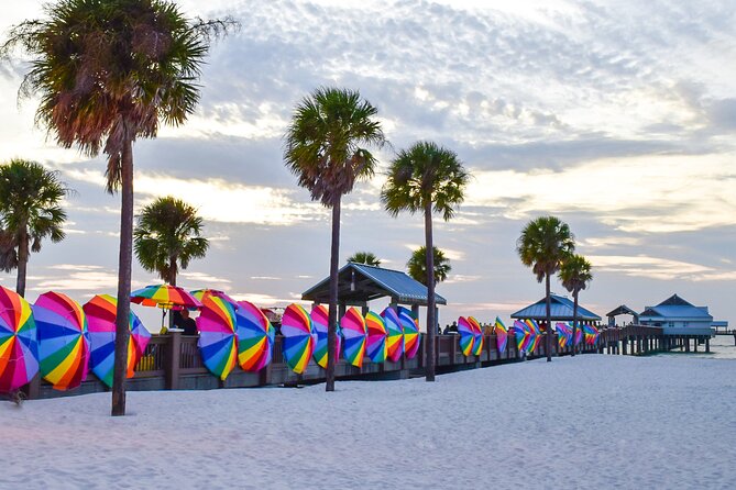 Clearwater Beach Dolphin Speedboat Adventure With Lunch & Transport From Orlando - Booking and Confirmation Process