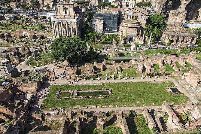 Colosseum Tour With Gladiator Arena Floor, Forum and Palatine Hill - Customer Reviews and Ratings