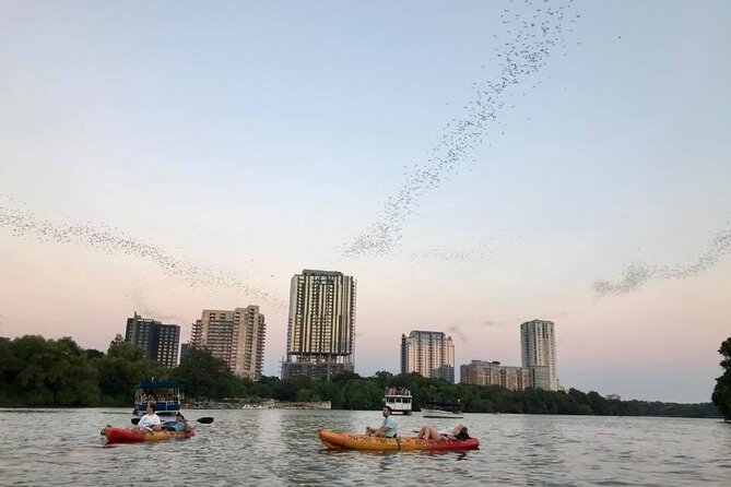 Congress Avenue Bat Bridge Kayak Tour in Austin - The Bat Viewing Experience